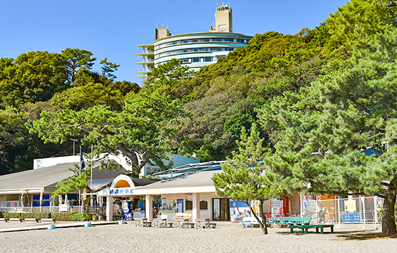 桂浜水族館